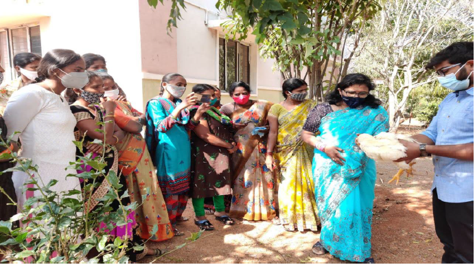 Hatching Hope Accelerating Incomes (HHAI)