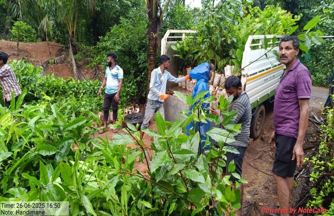 Biodiversity Conservation and Tree Plantation Phase II