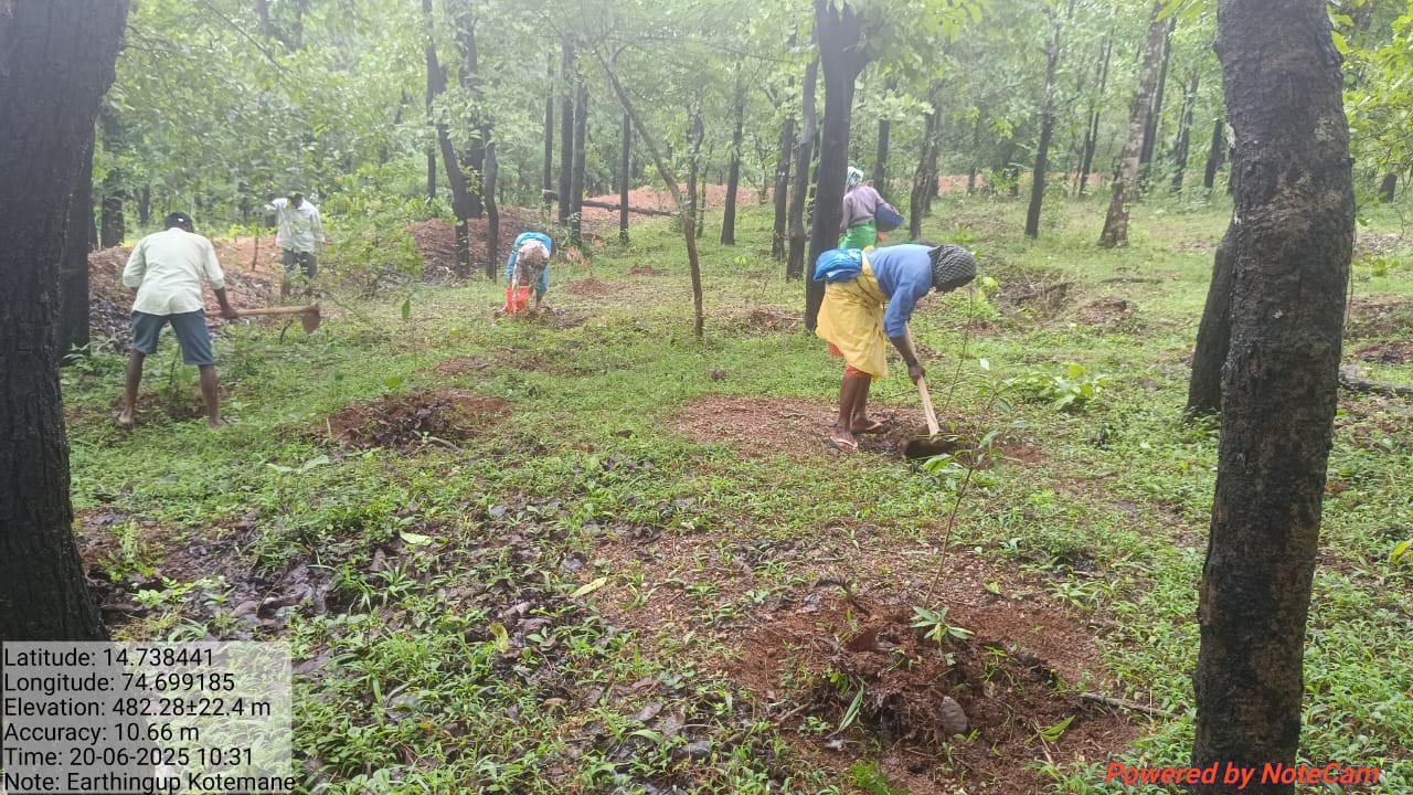 Biodiversity Conservation and Tree Plantation Phase II