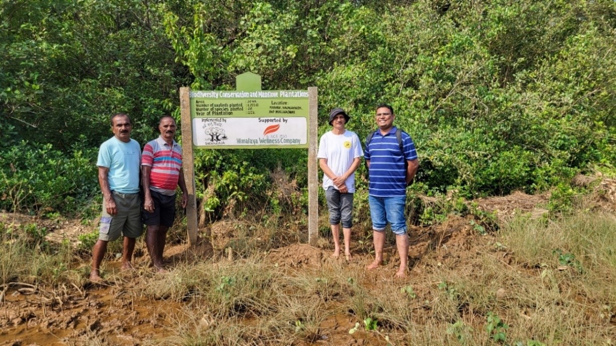 Biodiversity Conservation and Mangrove Plantations
