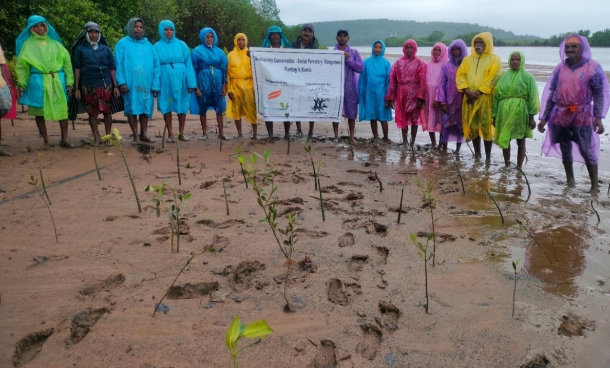 Biodiversity Conservation and Mangrove Plantations