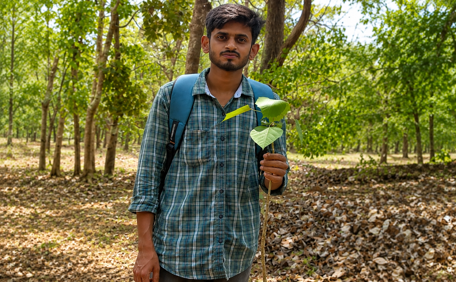 Biodiversity Conservation and Tree Plantation