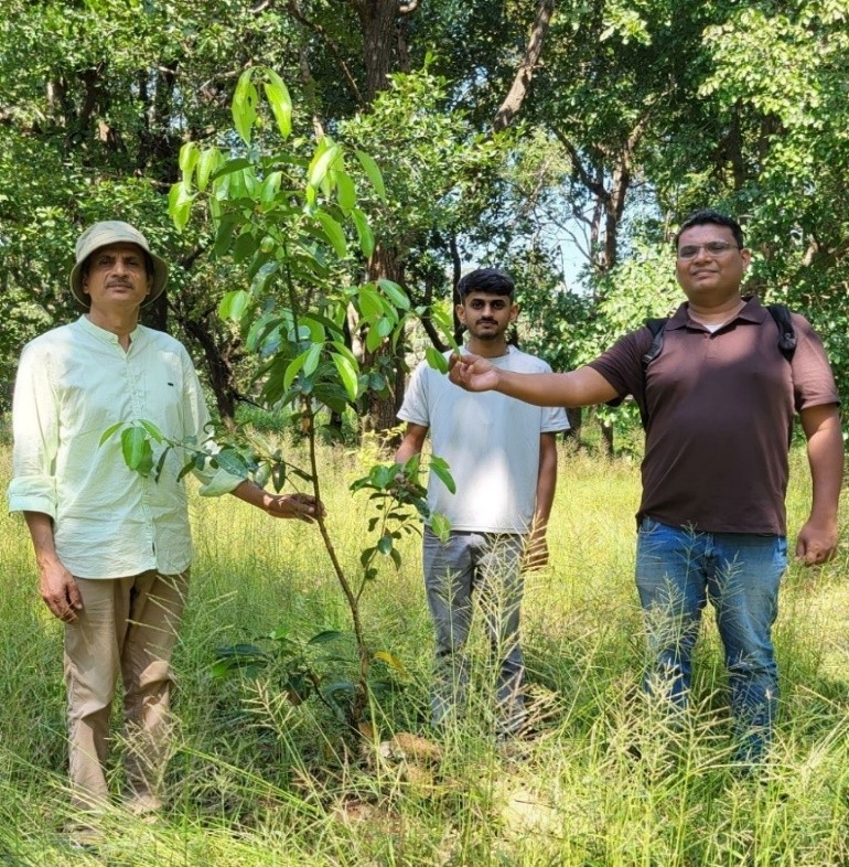 Biodiversity Conservation and Tree Plantation
