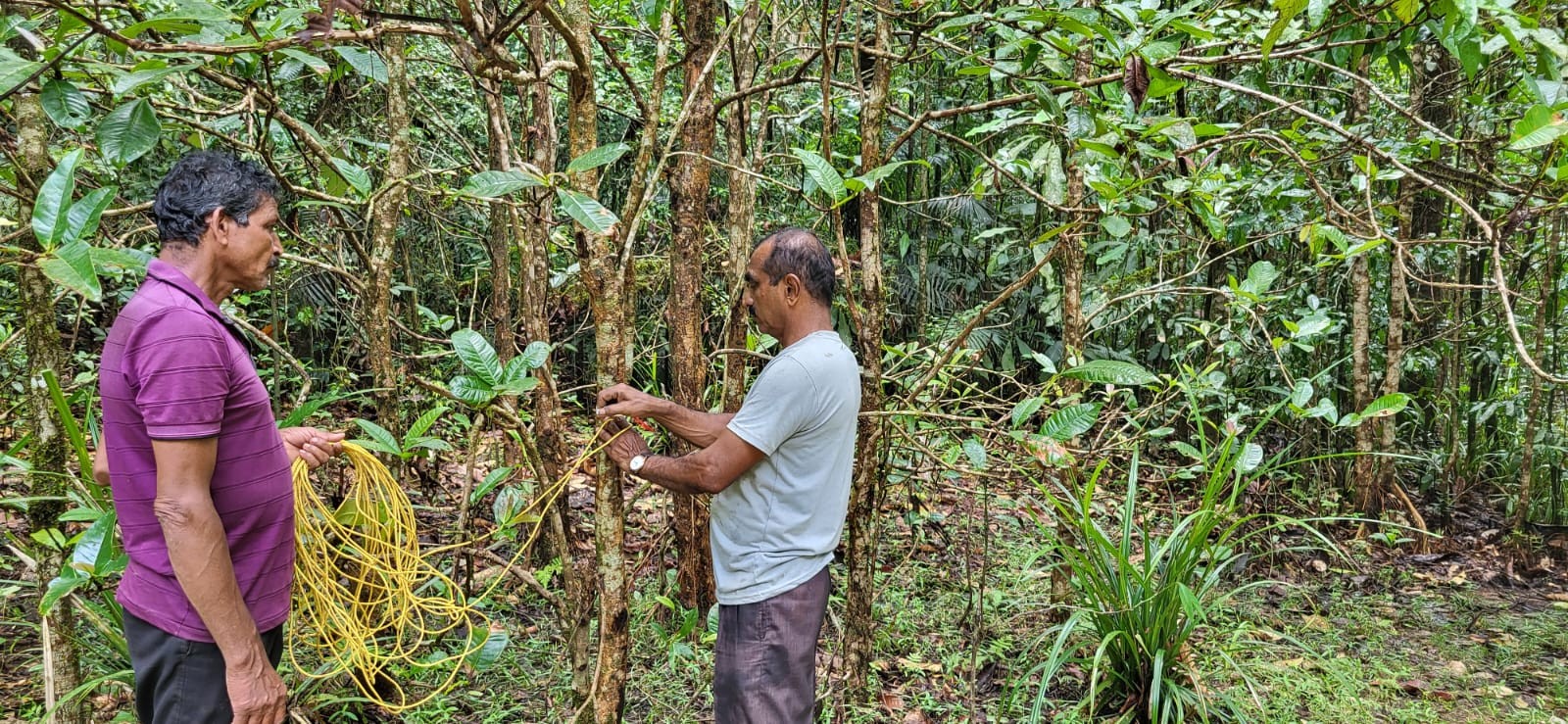 Ecological restoration of Tropical Freshwater Swamp Forests and long-term protection, Central Western Ghats