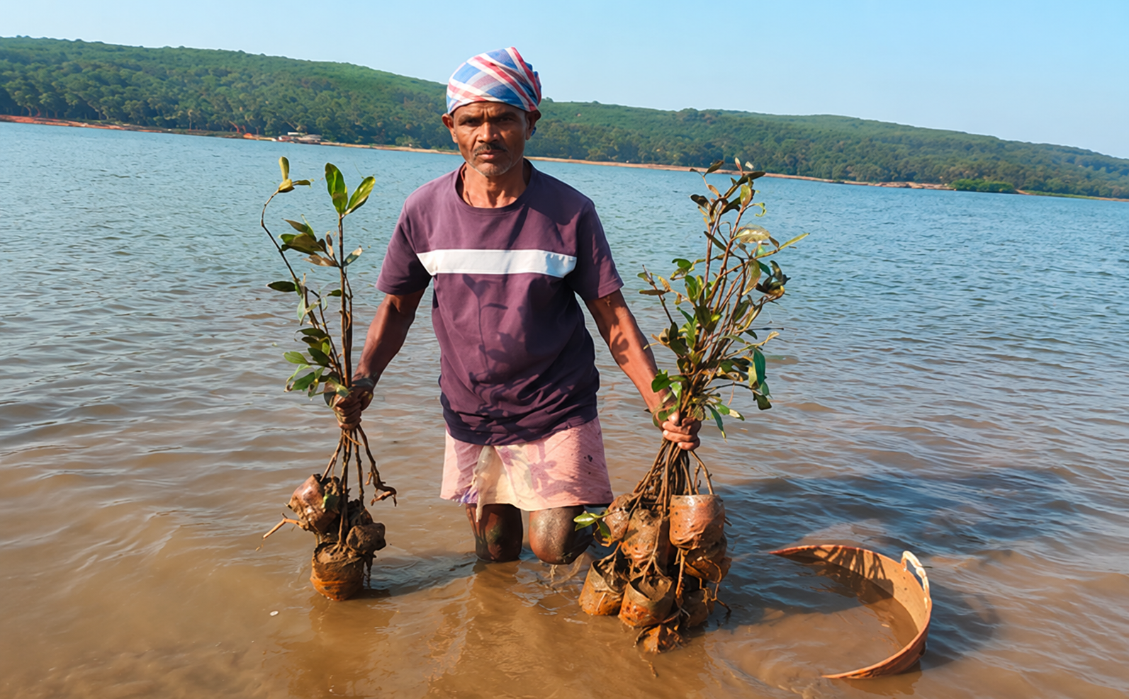 Biodiversity Conservation and Mangrove Plantations Phase II