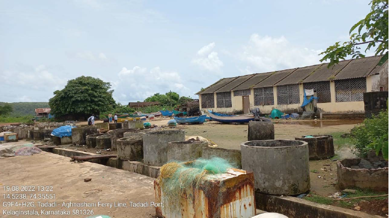 Drivers and Barriers of Dried Fish Consumption in Karnataka